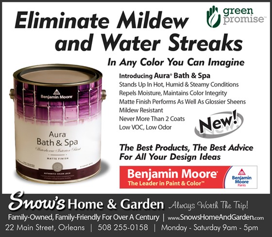 Print Advertising: ROP ADs