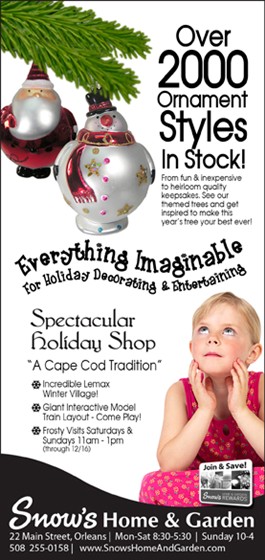 Print Advertising: ROP ADs