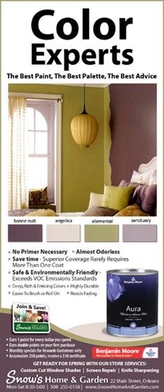 Print Advertising: ROP ADs