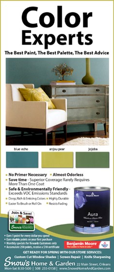 Print Advertising: ROP ADs