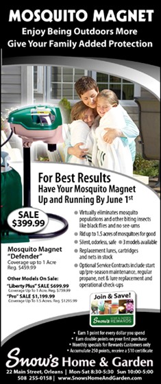 Print Advertising: ROP ADs