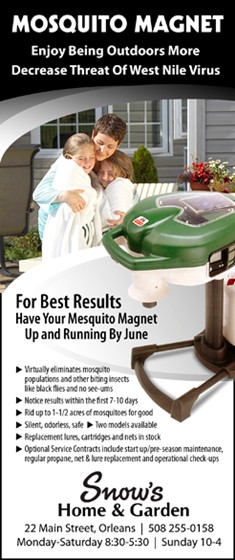 Print Advertising: ROP ADs