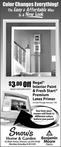 Print Advertising: ROP ADs