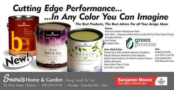 Print Advertising: ROP ADs