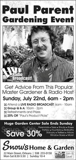 Print Advertising: ROP ADs